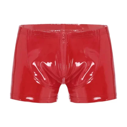 Glossy Plus Size Zippered Brief - Image 2