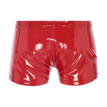 Glossy Plus Size Zippered Brief - Image 3