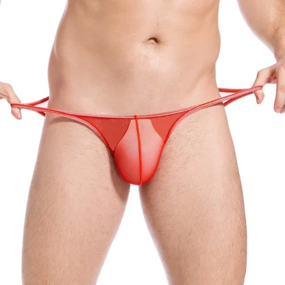 Sexy Low-rise See-through Briefs - Image 2