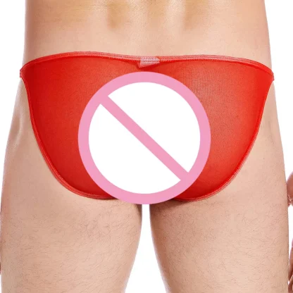 Sexy Low-rise See-through Briefs - Image 4