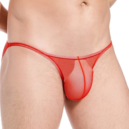 Sexy Low-rise See-through Briefs - Image 3