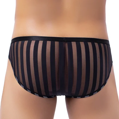 Mesh Transparent Striped Brief - Image 3