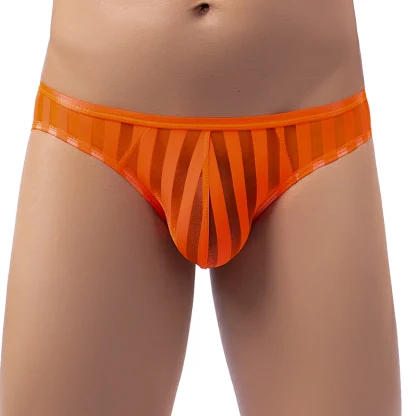 Mesh Transparent Striped Brief - Image 5