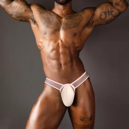 Large Crotch Pouch Mesh Brief - Image 4