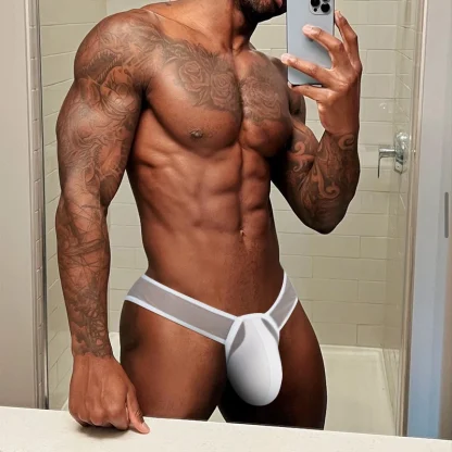 Large Crotch Pouch Mesh Brief - Image 3