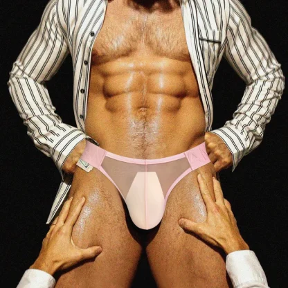 Transparent Mesh Solid Brief - Image 3