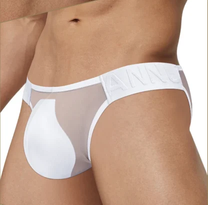 Sexy Ultra-thin Mesh Bikini Briefs - Image 5