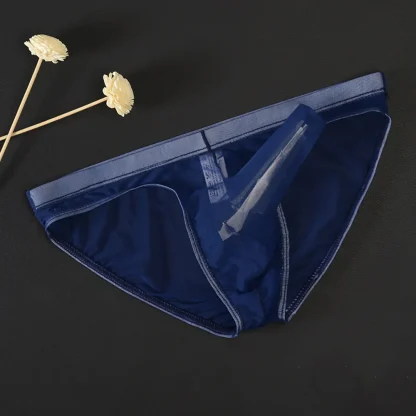 Large Elephant Nose Sheer Brief - Image 14