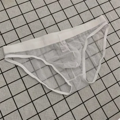 Transparent Mesh Breathable Brief
