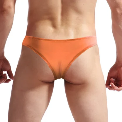 Low-rise Transparent Bikini Briefs - Image 12