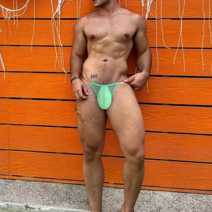 Sexy Ultra-thin Mesh Bikini Briefs - Image 2