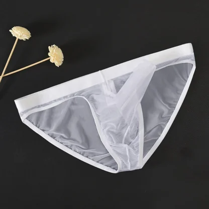 Large Elephant Nose Sheer Brief - Image 11