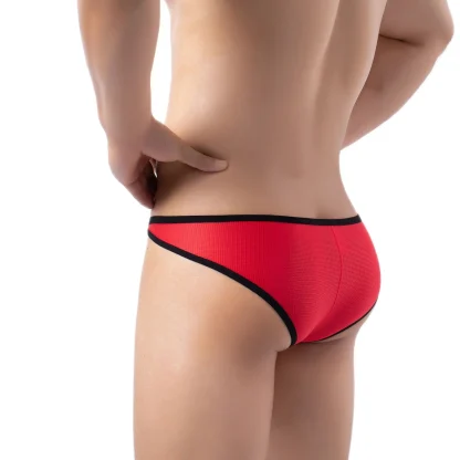 Sexy Low-rise Mesh Brief - Image 7