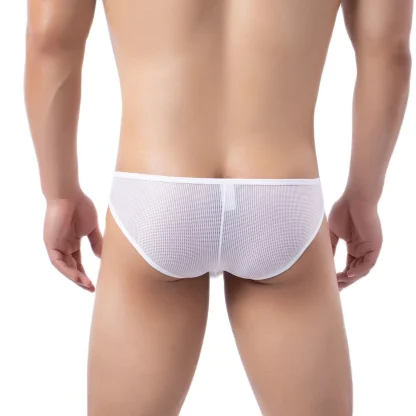 Sexy Low-rise Mesh Brief - Image 4