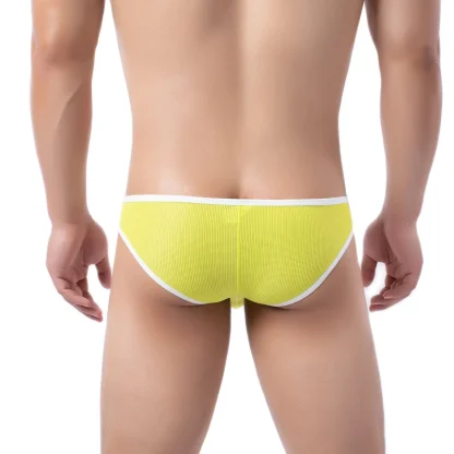 Sexy Low-rise Mesh Brief - Image 8